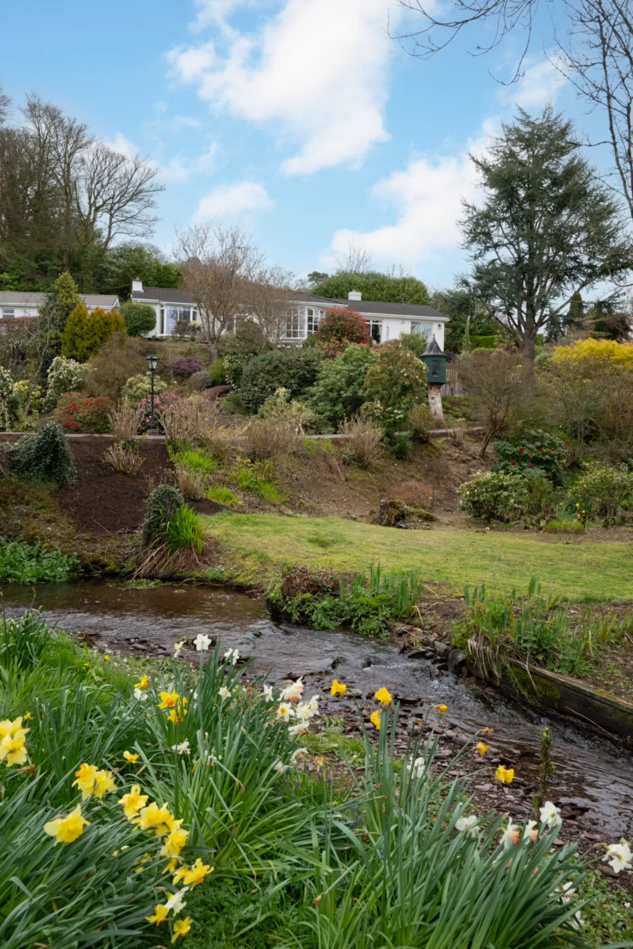 Photo of Laurel Wood, Farran, Co Cork, P14 YA00