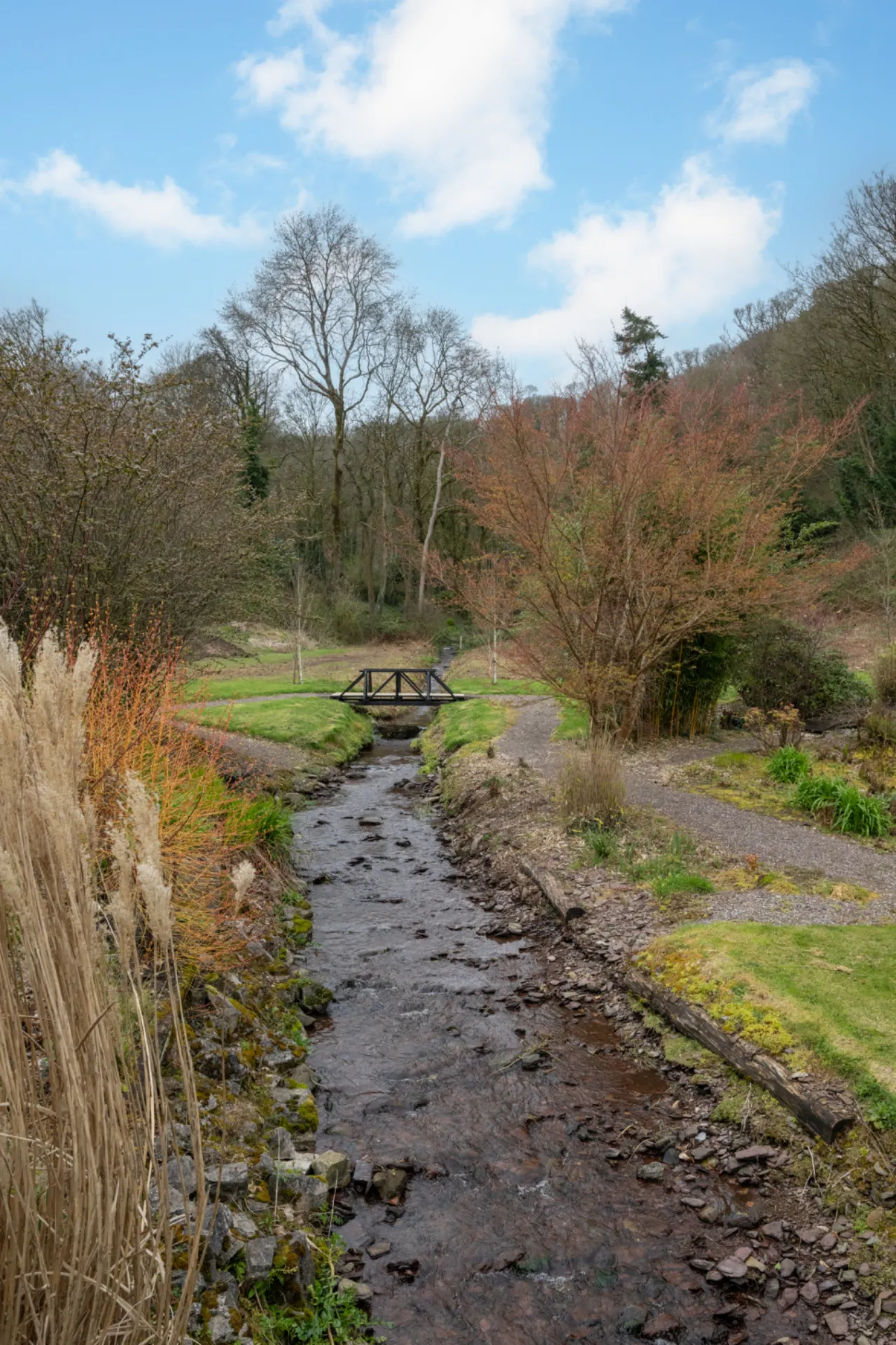 Photo of Laurel Wood, Farran, Co Cork, P14 YA00