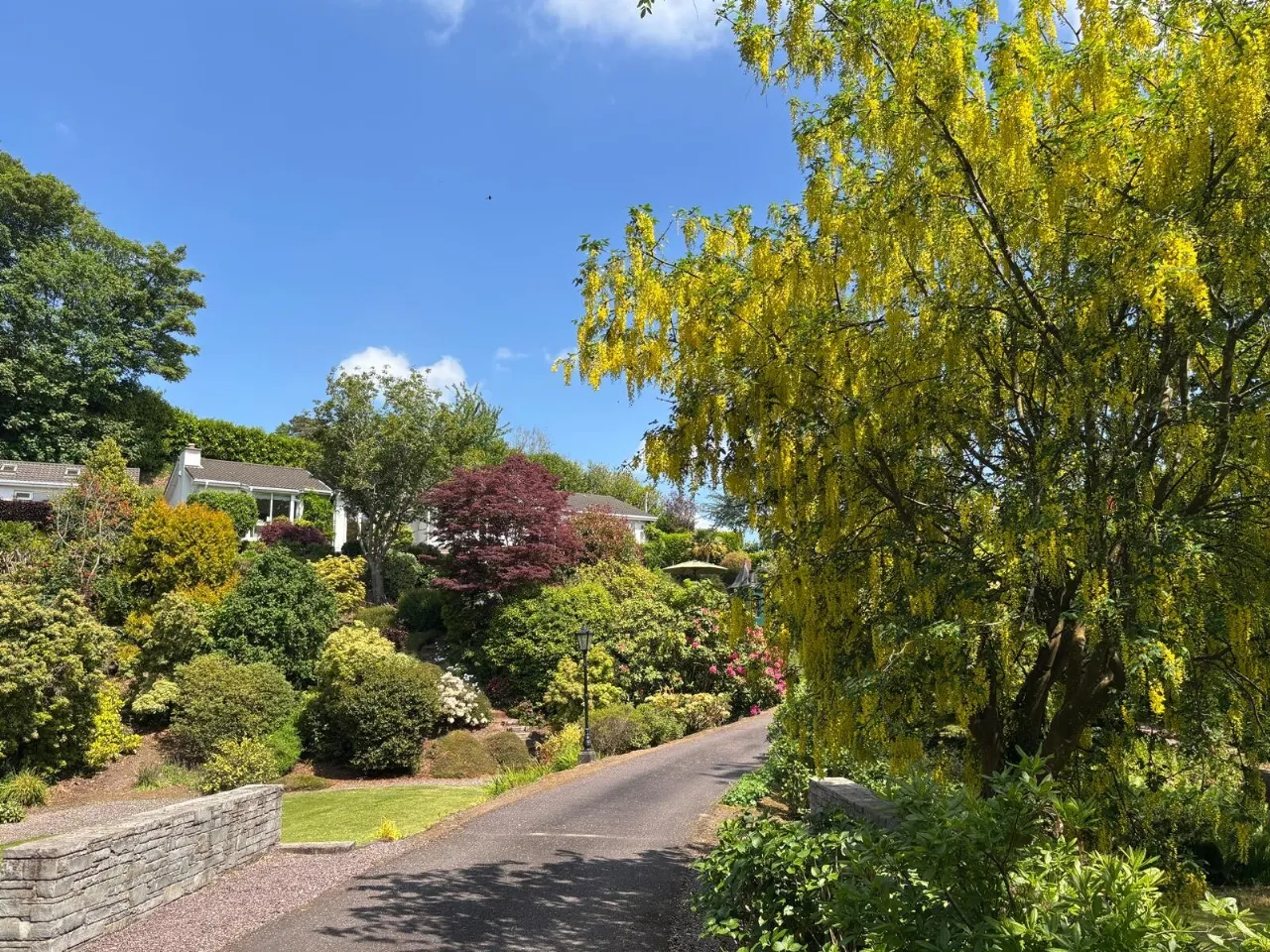 Photo of Laurel Wood, Farran, Co Cork, P14 YA00