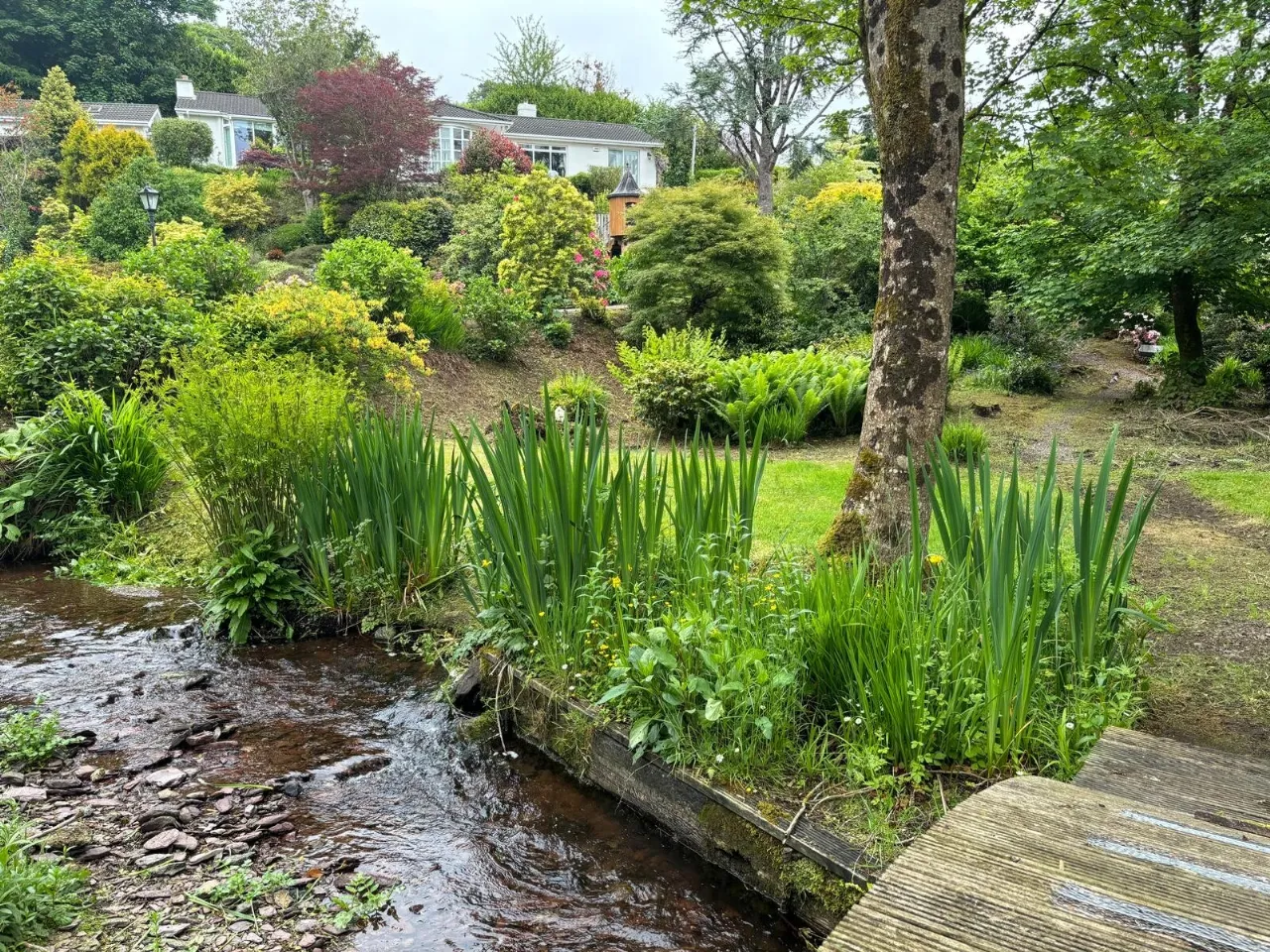 Photo of Laurel Wood, Farran, Co Cork, P14 YA00