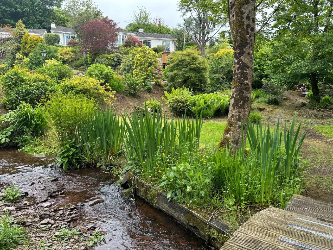 Photo of Laurel Wood, Farran, Co Cork, P14 YA00