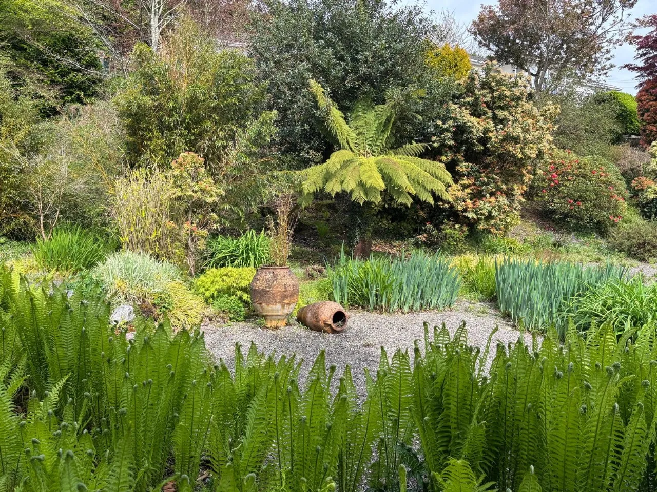 Photo of Laurel Wood, Farran, Co Cork, P14 YA00