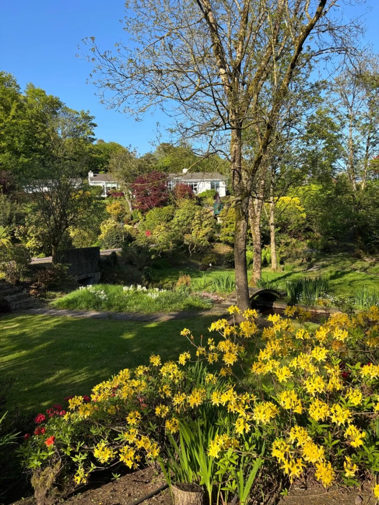 Photo of Laurel Wood, Farran, Co Cork, P14 YA00