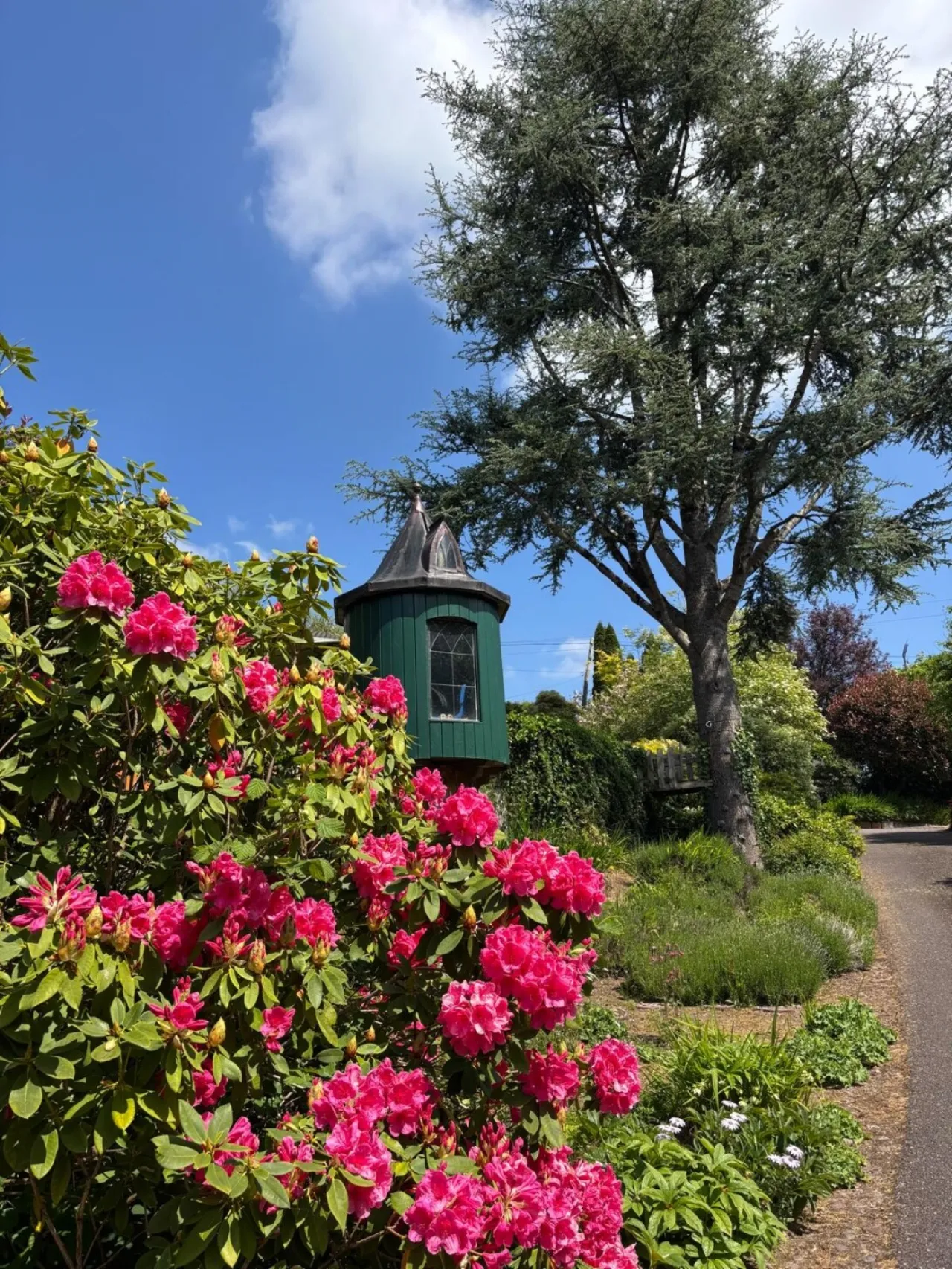 Photo of Laurel Wood, Farran, Co Cork, P14 YA00