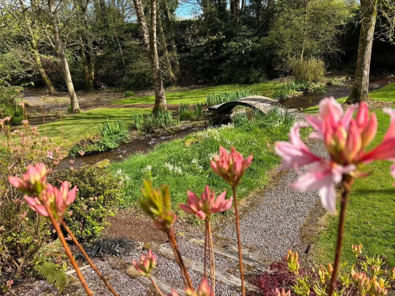 Photo of Laurel Wood, Farran, Co Cork, P14 YA00