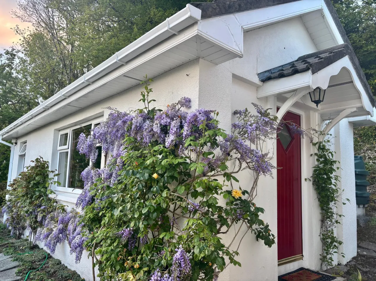 Photo of Laurel Wood, Farran, Co Cork, P14 YA00