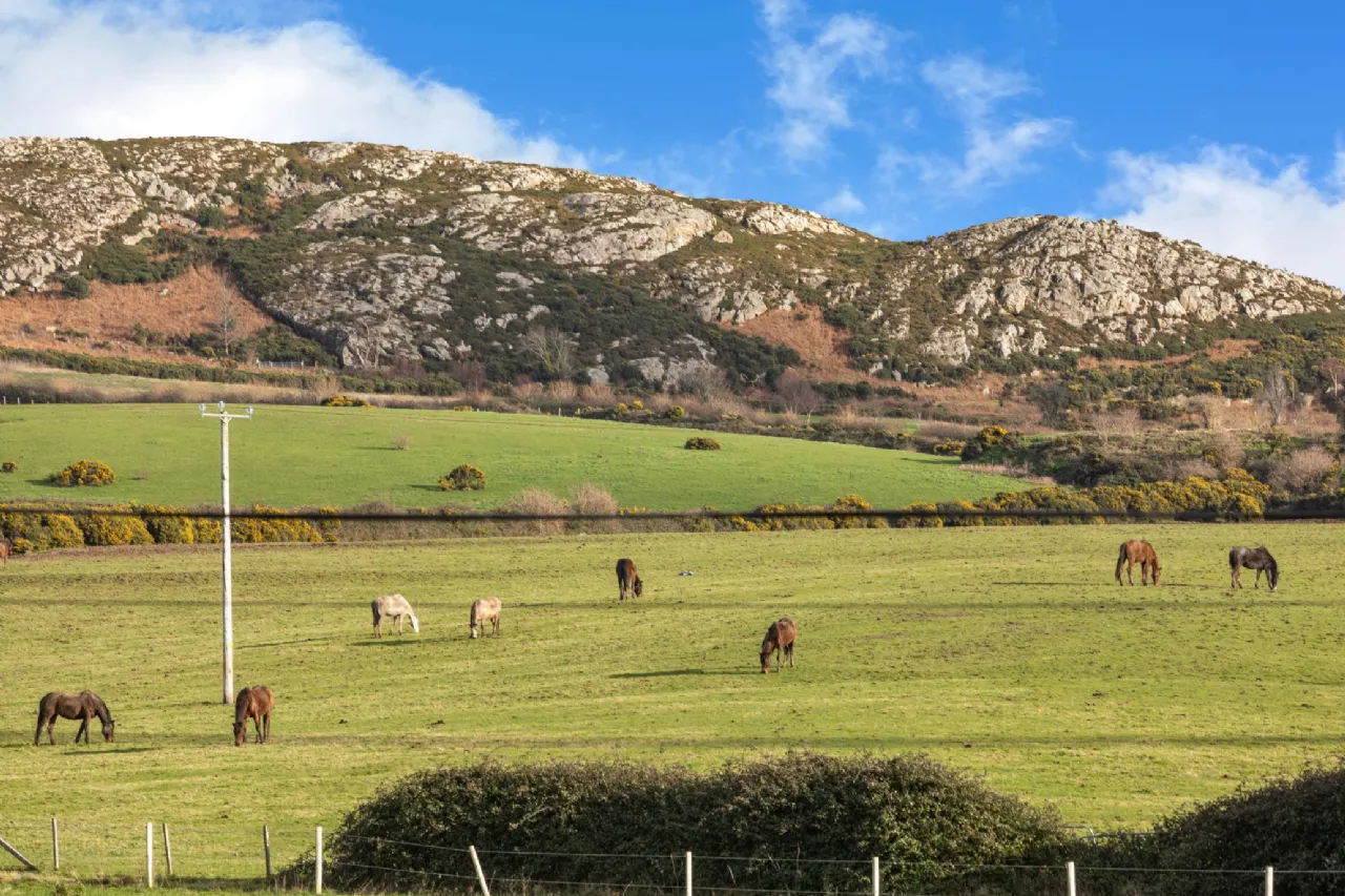 Photo of Kylemore, 123 Newcourt Road, Bray, Co. Wicklow, A98 HC44