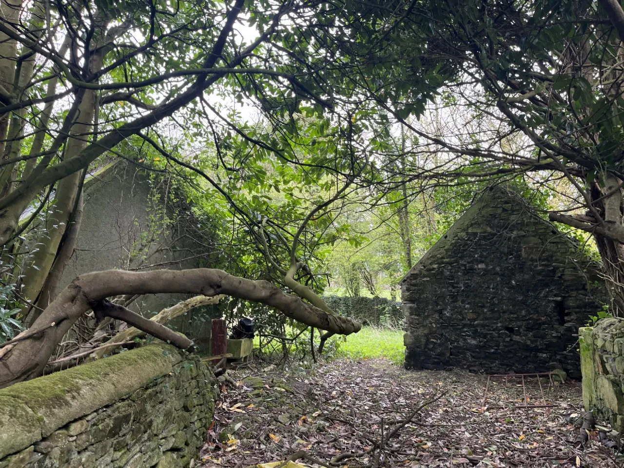 Photo of Clonydonnin, Castledaly, Athlone, Co. Westmeath
