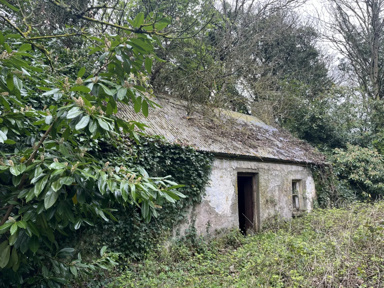 Photo of Clonydonnin, Castledaly, Athlone, Co. Westmeath
