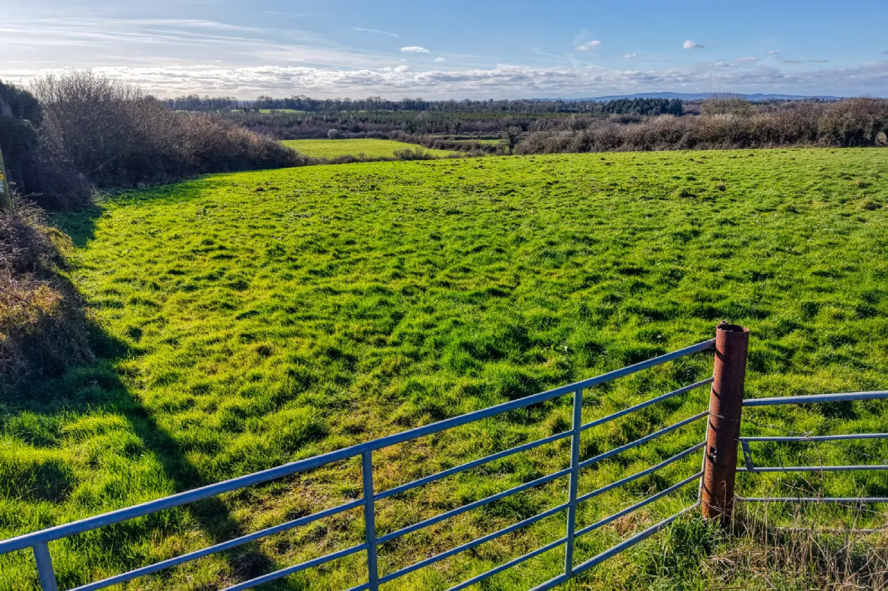 Photo of Carrowmanagh, Longford