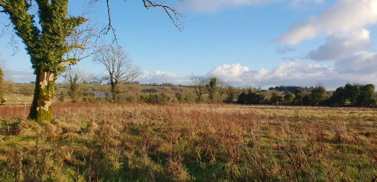Photo of 2.10ha / 5.20ac, Lehinch, Kilkerrin, Ballinasloe, Co. Galway