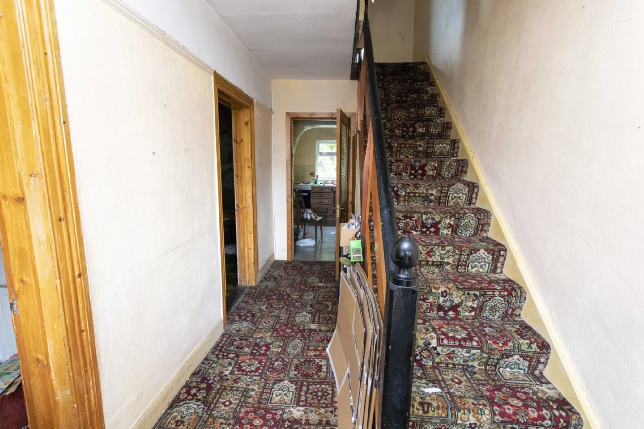 Photo of Springwood, Clash West, V92 X2R8