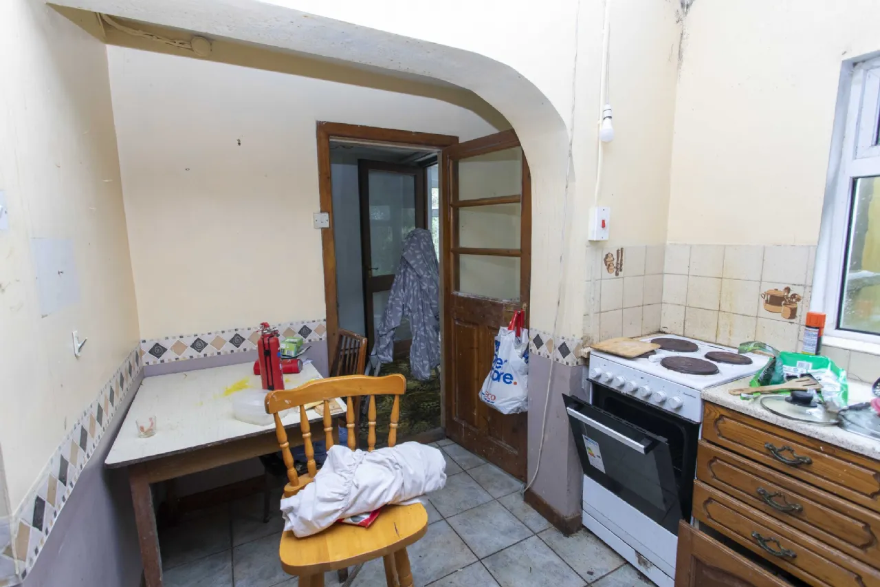 Photo of Springwood, Clash West, V92 X2R8