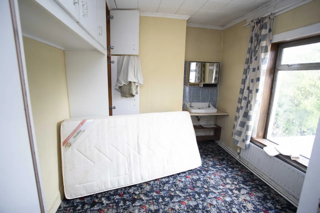 Photo of Springwood, Clash West, V92 X2R8