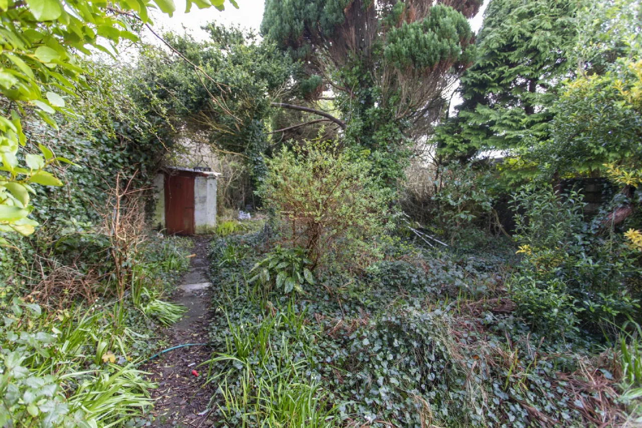 Photo of Springwood, Clash West, V92 X2R8