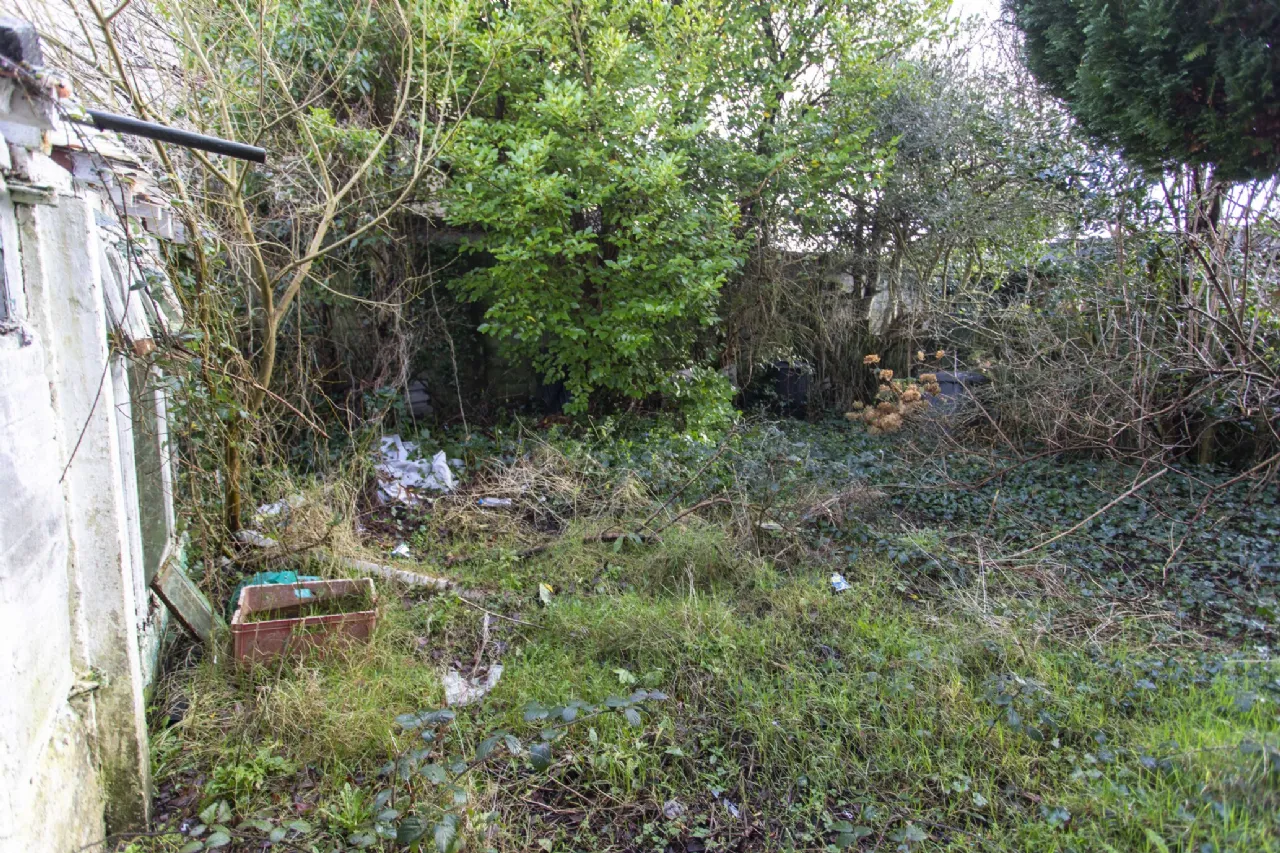 Photo of Springwood, Clash West, V92 X2R8