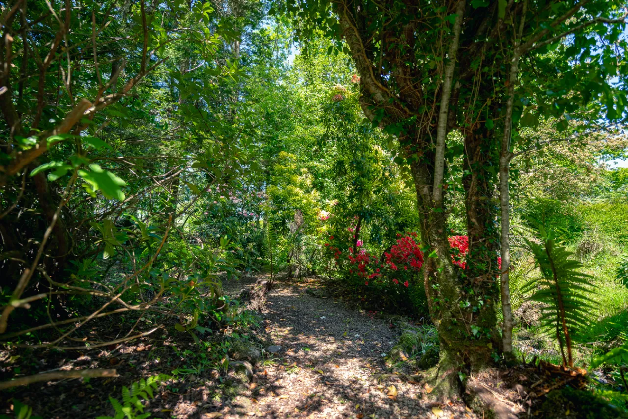 Photo of Killaha East, Kenmare, Co Kerry, V93 K2D7