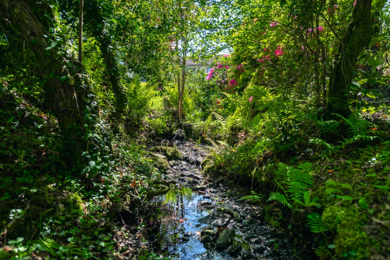 Photo of Killaha East, Kenmare, Co Kerry, V93 K2D7