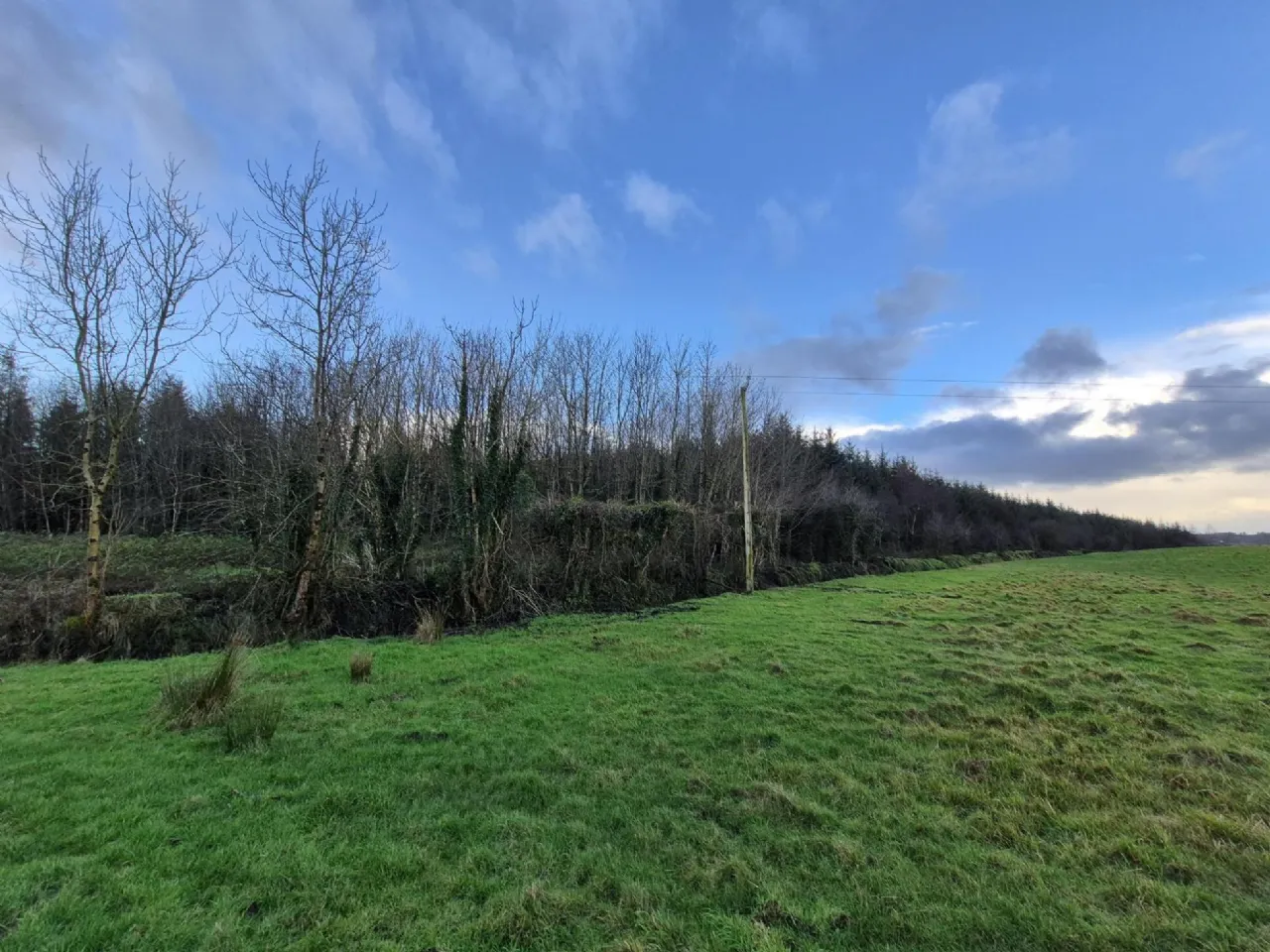 Photo of 27.13 Acres Of Forestry, Stripe North, Milltown, Tuam, Co. Galway