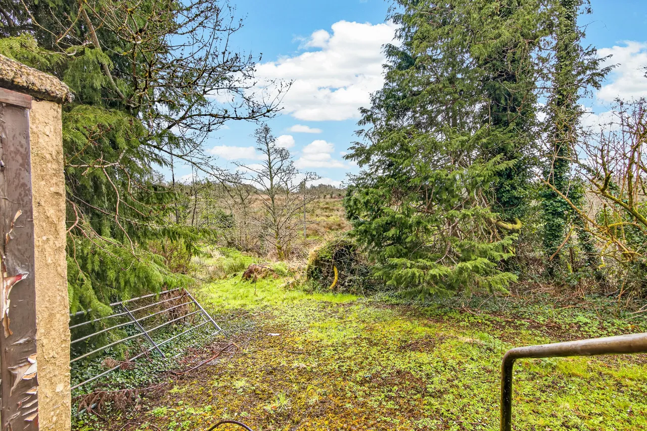 Photo of Rathbaun, Dromahair, Co. Leitrim, F91 WF5D