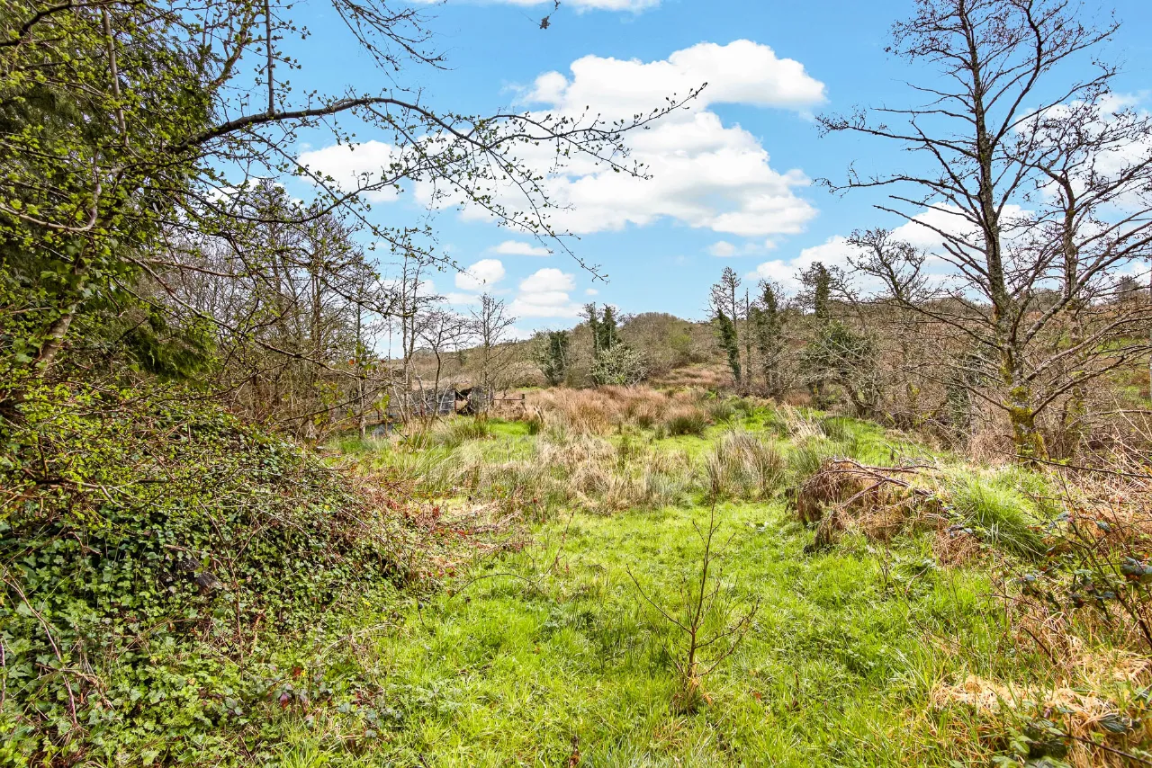 Photo of Rathbaun, Dromahair, Co. Leitrim, F91 WF5D