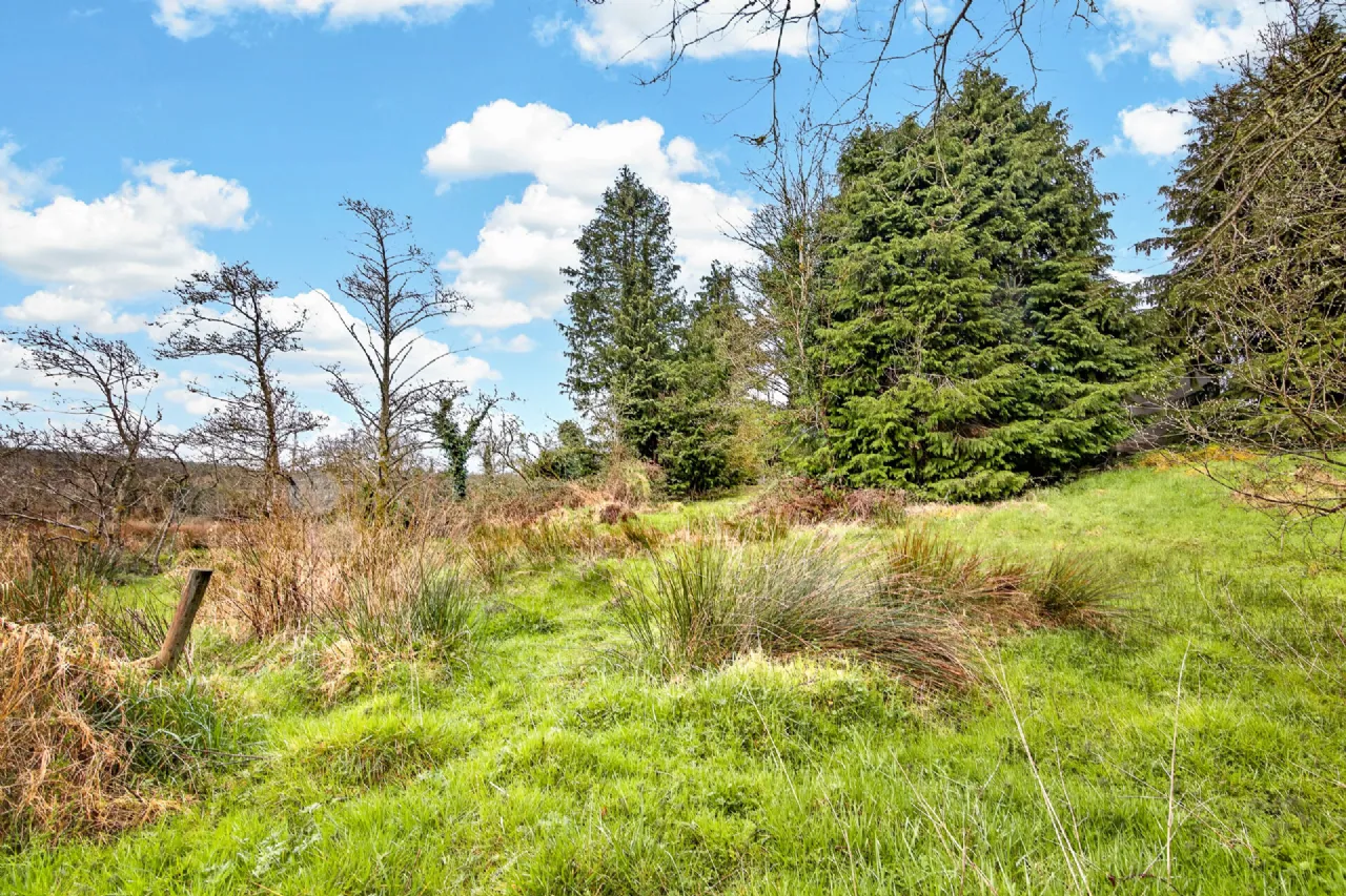 Photo of Rathbaun, Dromahair, Co. Leitrim, F91 WF5D