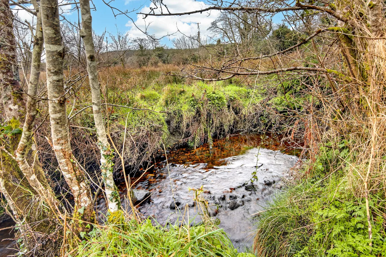 Photo of Rathbaun, Dromahair, Co. Leitrim, F91 WF5D