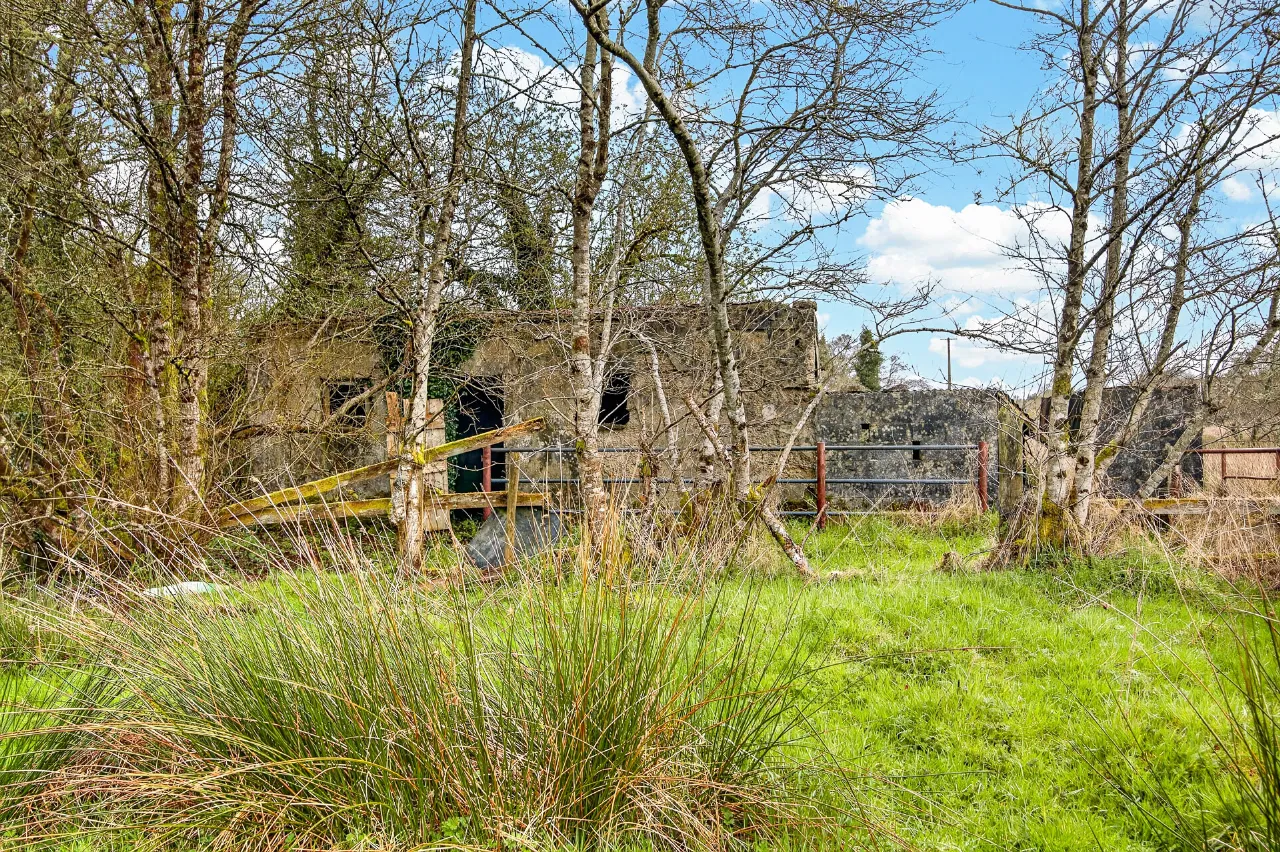 Photo of Rathbaun, Dromahair, Co. Leitrim, F91 WF5D