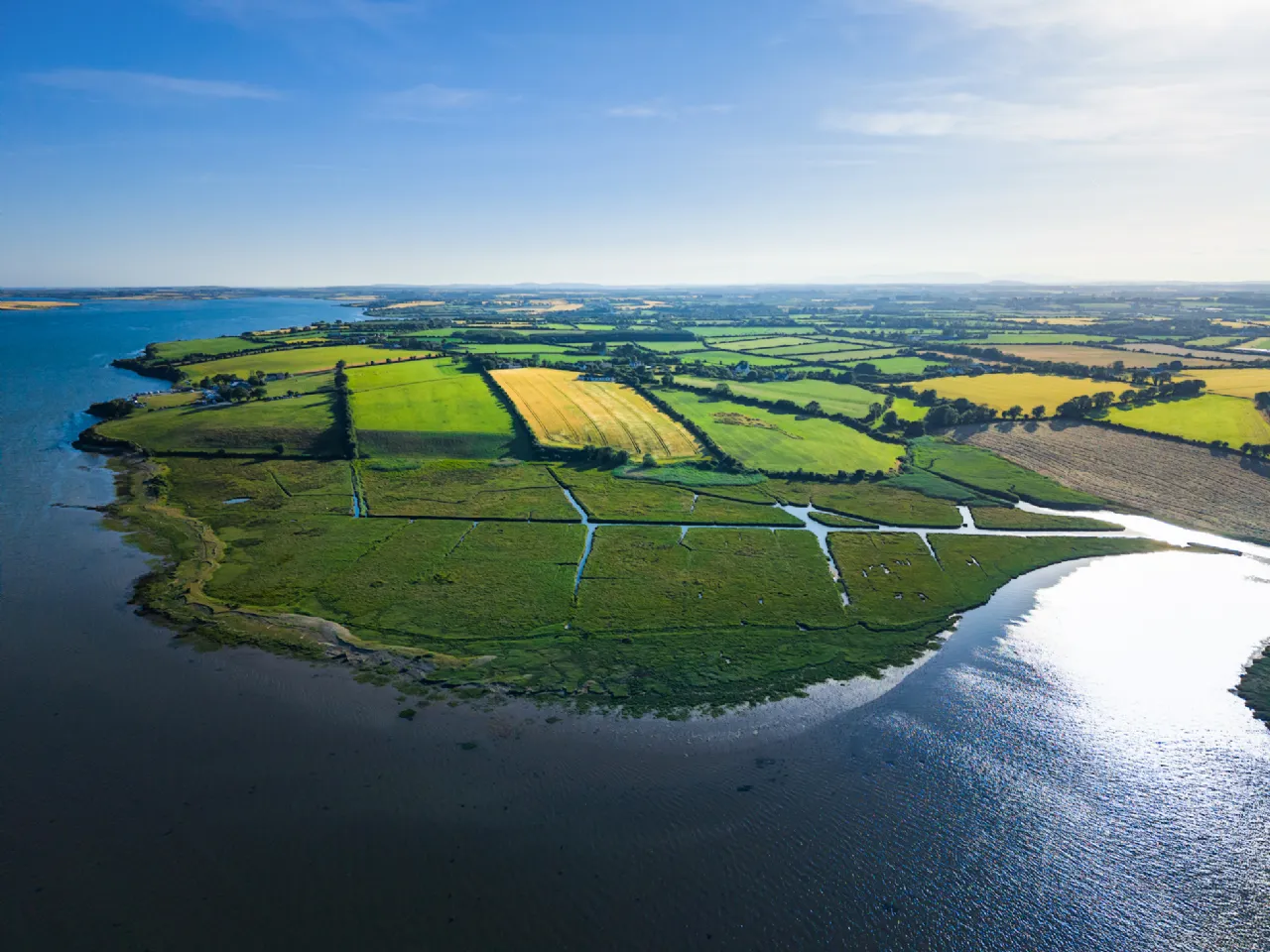 Photo of Clonmines, Wellingtonbridge, Co Wexford, Y35 X438