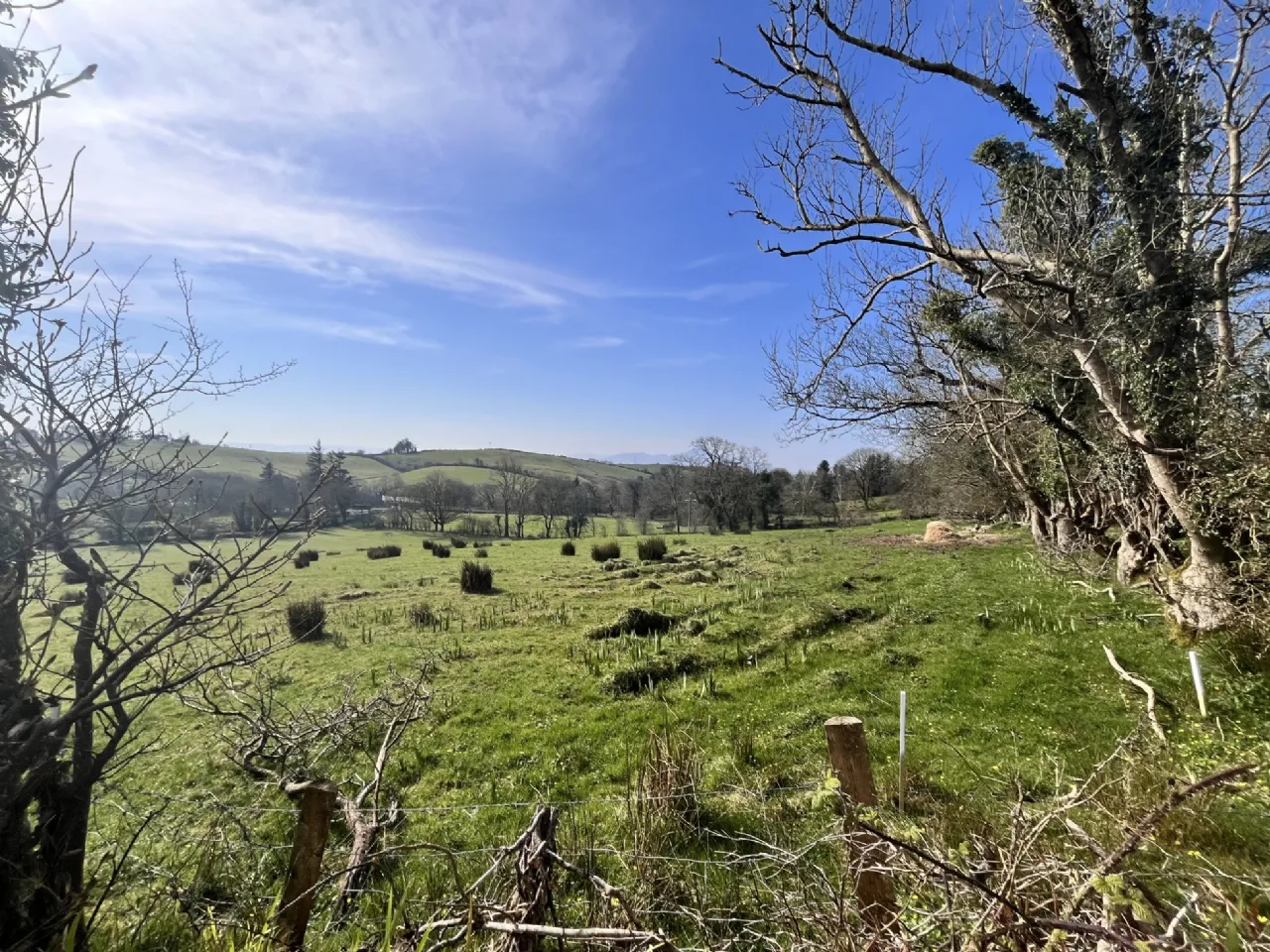 Photo of Site Sold SPP, Brockagh, Fahy, Westport, Co Mayo