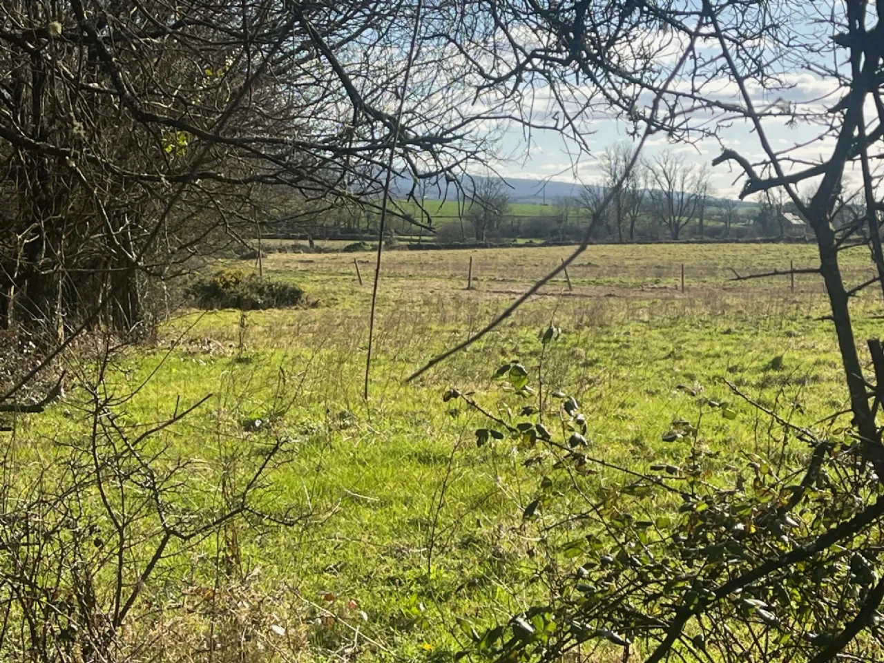 Photo of Land On Folio CE27845, Fossabeg, Scarriff, Co Clare