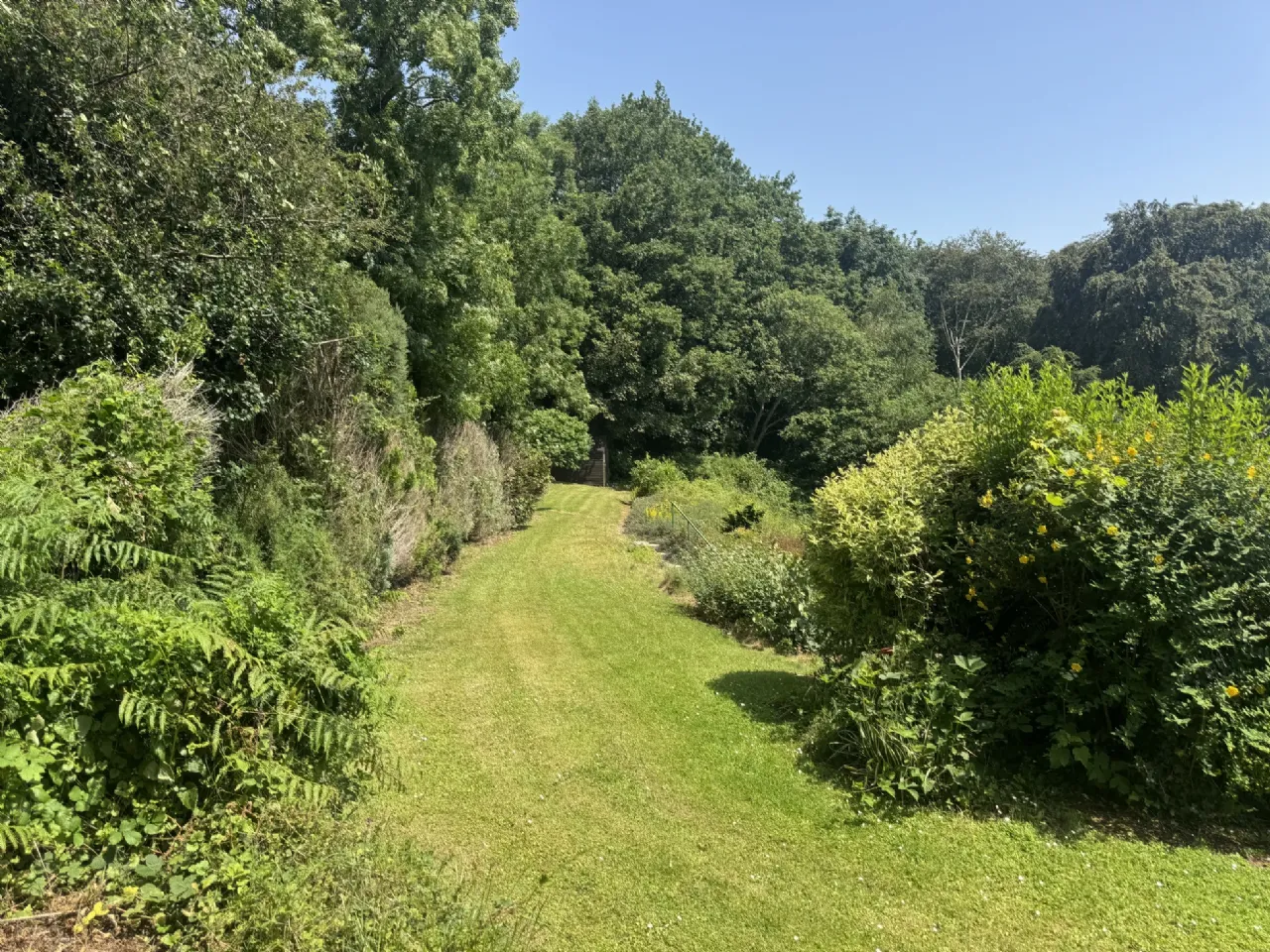 Photo of Ballynona South, Midleton, Co. Cork, P25 NX49