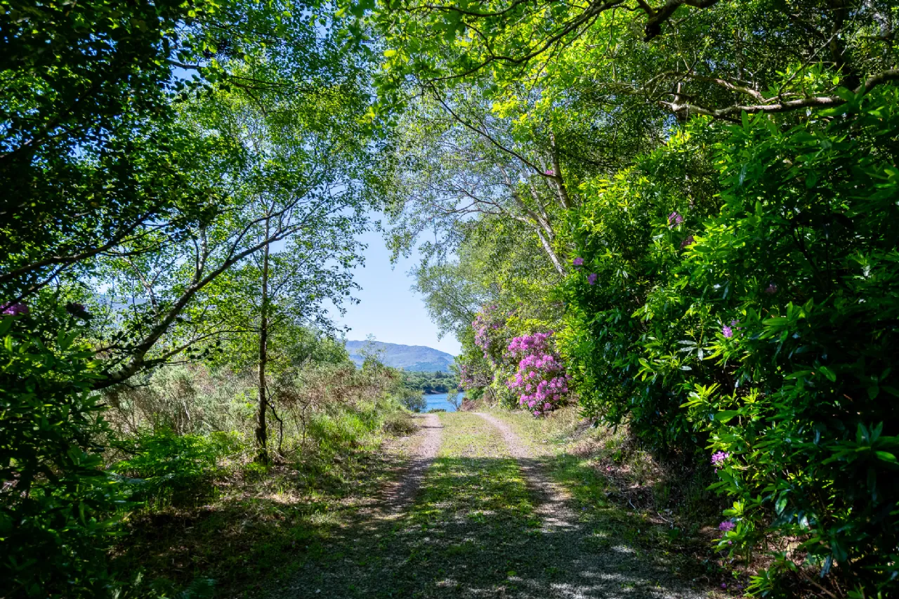 Photo of The Old Oak Cottage, Collorus, Lauragh, Kenmare, Co. Kerry, V93 W6V9