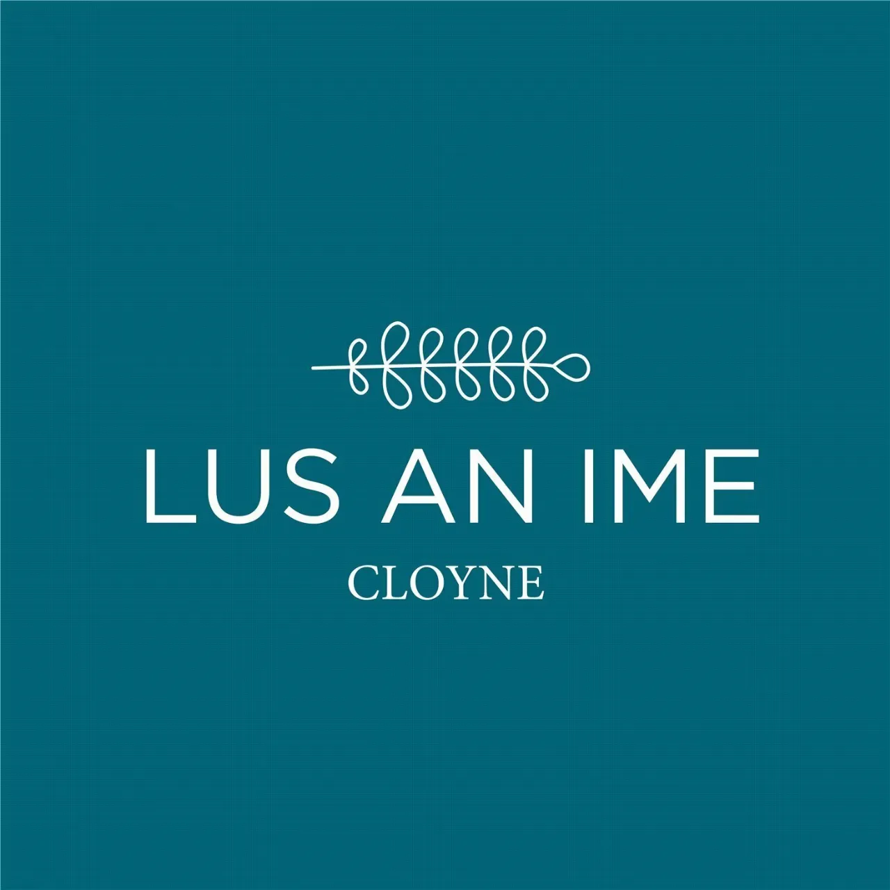 Photo of 26 The Court, Lus An Ime, Cloyne, Co. Cork