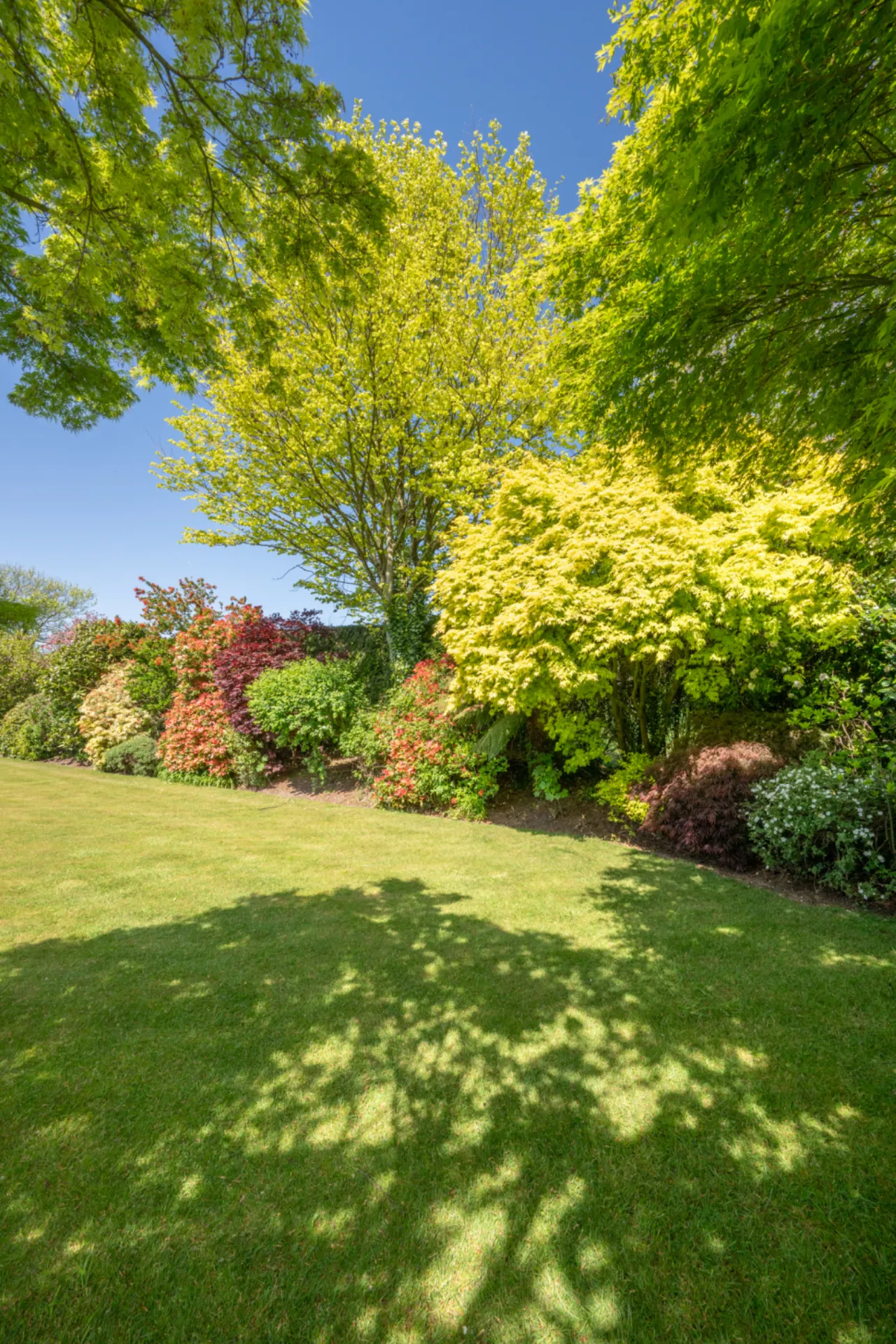 Photo of Roselodge, Model Farm Road, Cork, T12KN6Y