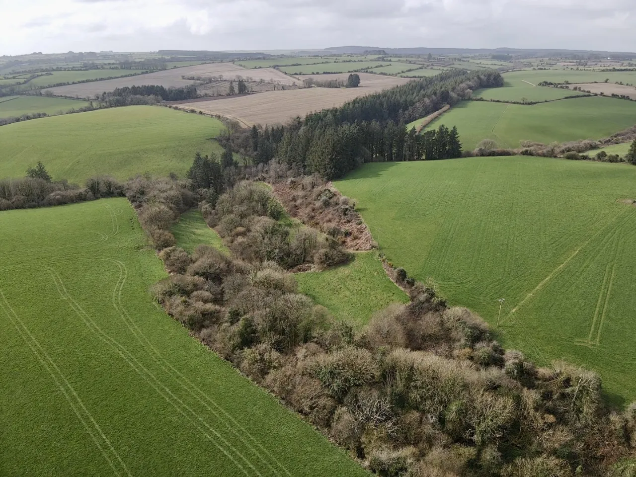 Photo of Site With Derelict Dwelling & Sheds, Ballyroe, Lackaroe, Via Youghal, Co Waterford, P36 NF20