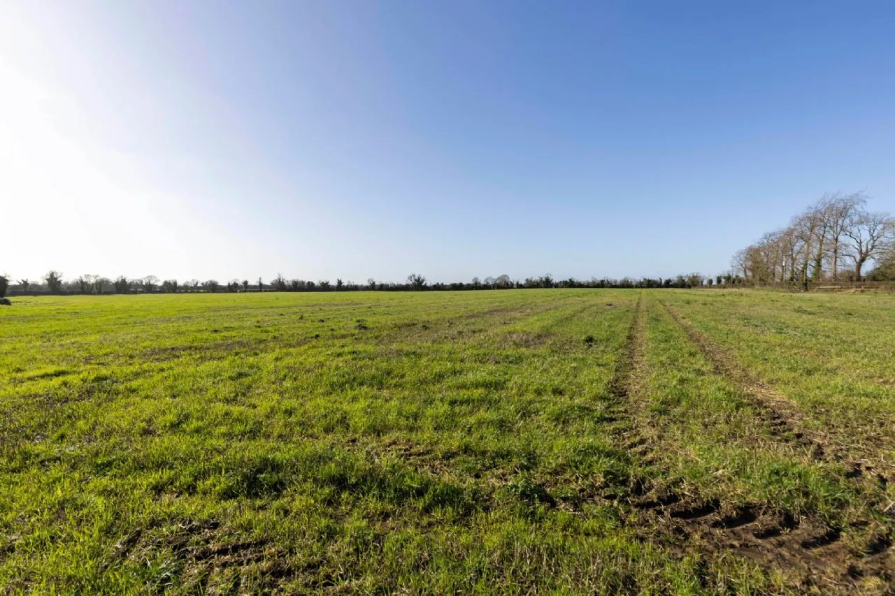 Photo of Lands At Herbertstown (Lot 2), Approx. 9.5 Hectares (23.6 Acres), Dunboyne, Co. Meath