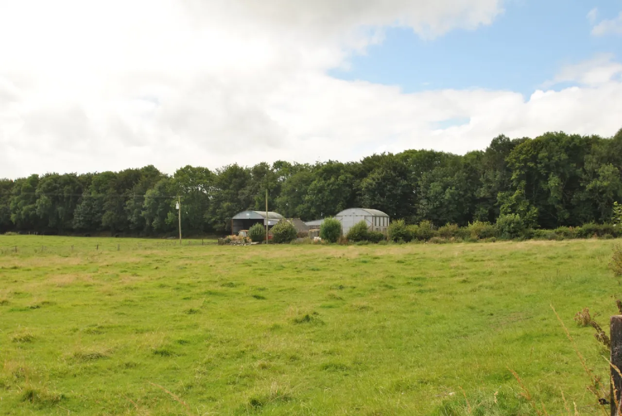 Photo of Approx. 7.55 Hectares/ 18.67, Sopwell Lands, Cloughjordan, Co. Tipperary