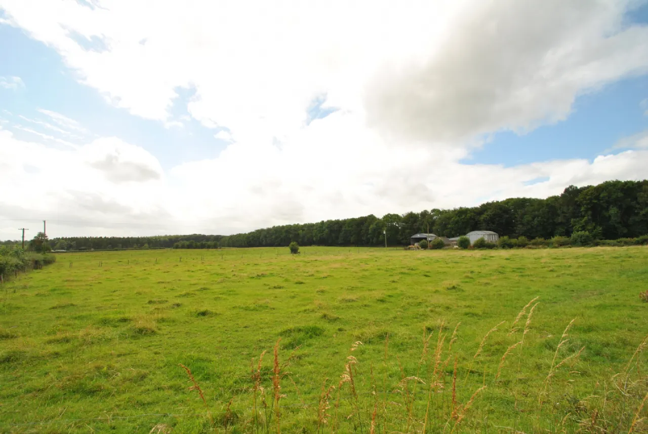 Photo of Approx. 7.55 Hectares/ 18.67, Sopwell Lands, Cloughjordan, Co. Tipperary