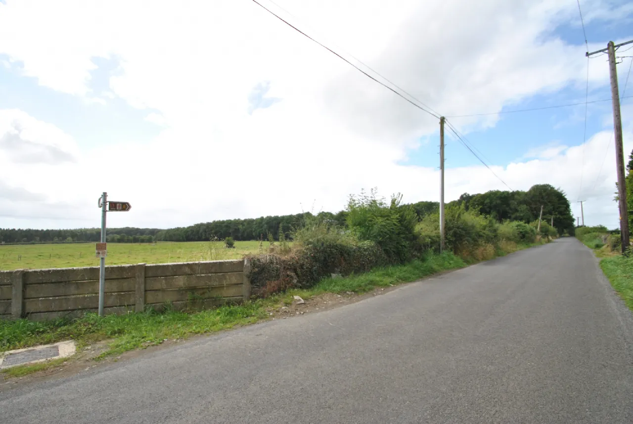 Photo of Approx. 7.55 Hectares/ 18.67, Sopwell Lands, Cloughjordan, Co. Tipperary