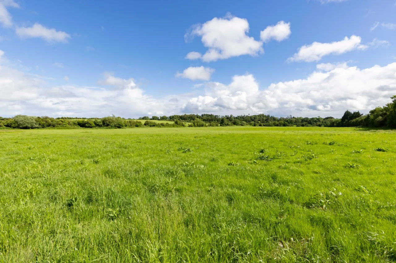 Photo of Lands At Killineer, Approx. 27.5 ha (68 acres), Drogheda, County Louth