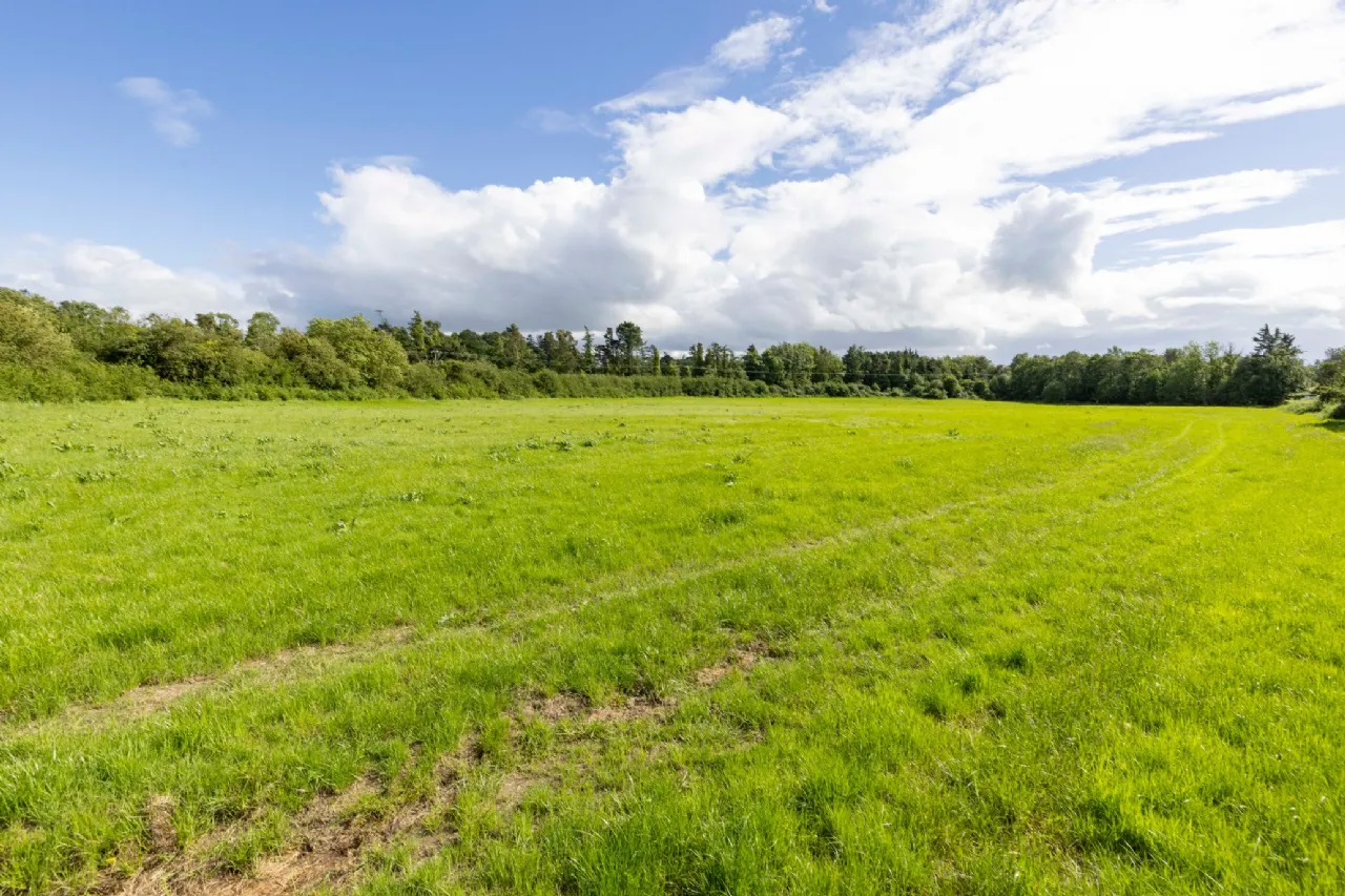 Photo of Lands At Killineer, Approx. 27.5 ha (68 acres), Drogheda, County Louth