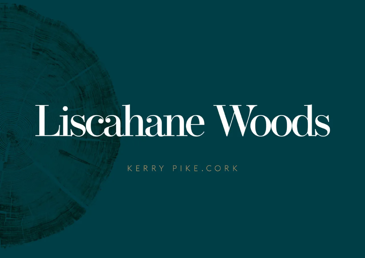 Photo of Liscahane Woods, Kerry Pike, Cork