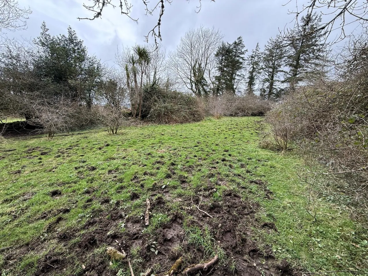 Photo of Meentogues, Headford, Killarney, Co Kerry, V93 CD7A