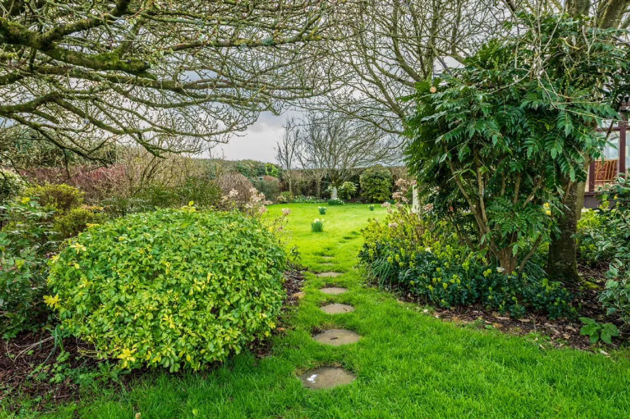 Photo of Barta, Richardstown, Clane, Co Kildare, W91 W9H0