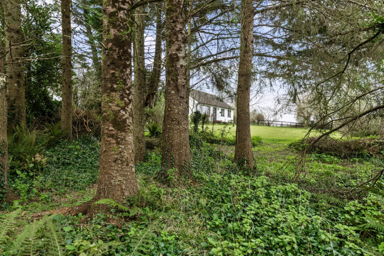 Photo of Carraig, Ballilogue, The Rower, Co. Kilkenny, R95 V2W2