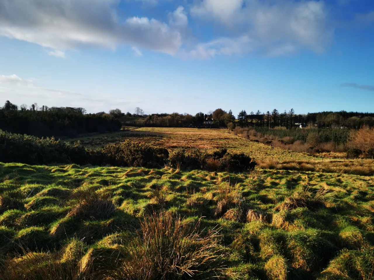 Photo of Lurgan, Kilkelly, Co Mayo, F35 XN22