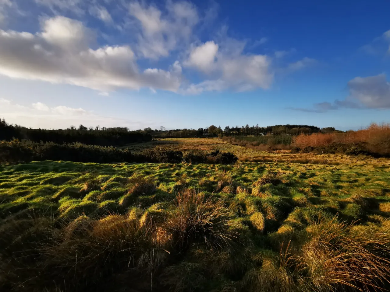 Photo of Lurgan, Kilkelly, Co Mayo, F35 XN22