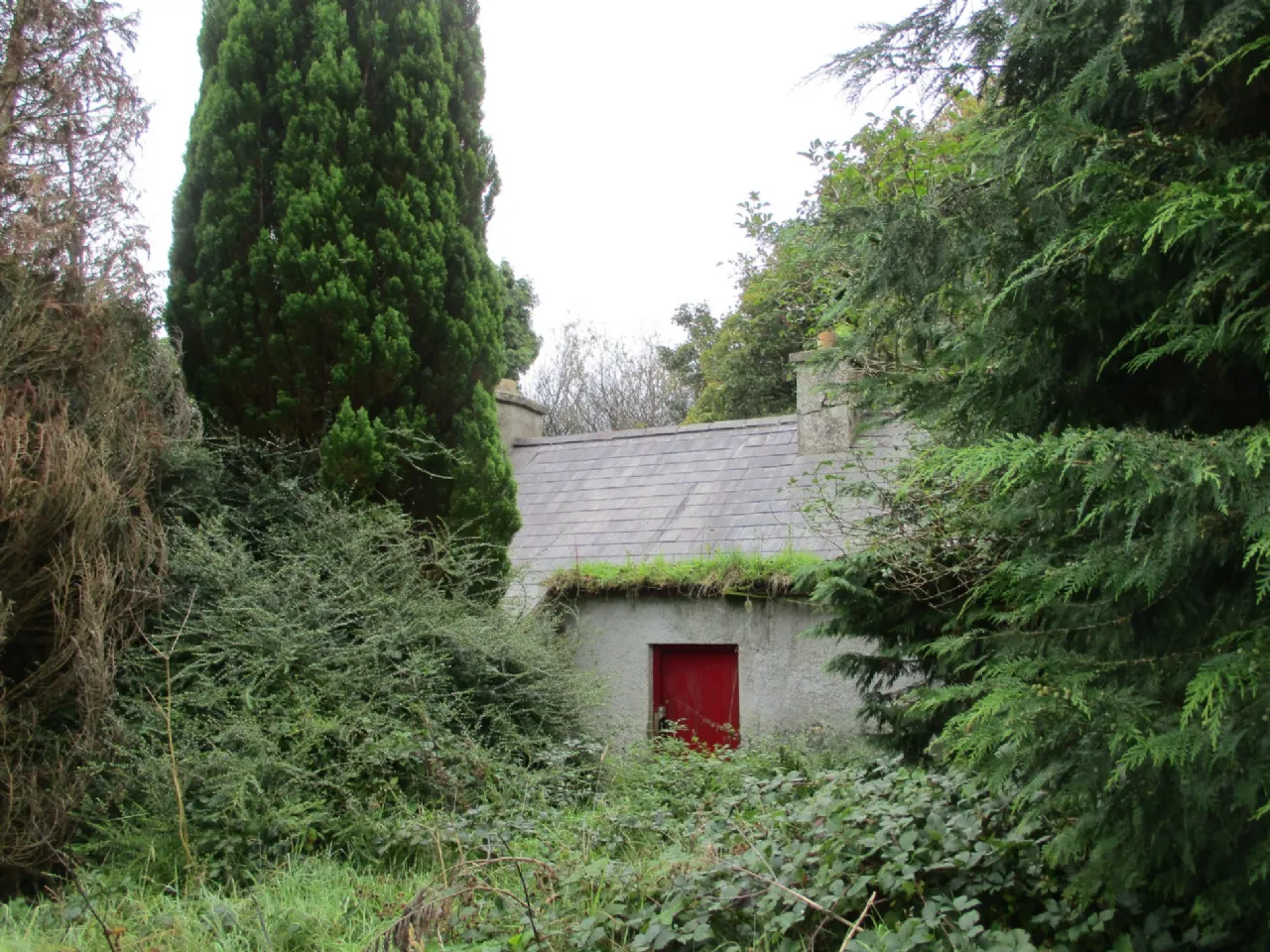 Photo of Devleash, Kiltimagh, Co. Mayo, F12 XE12