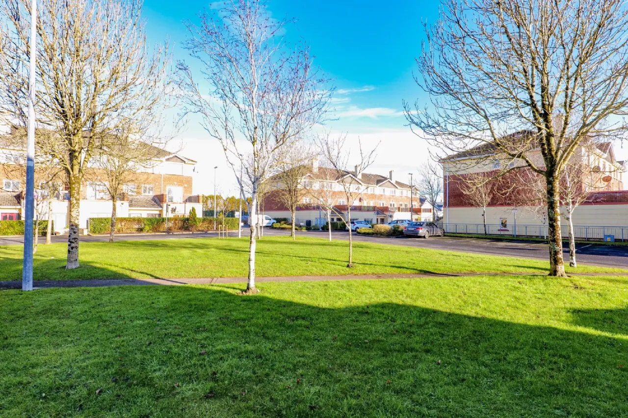 Photo of Bluebell Woods, Oranmore, Galway, H91 HN96
